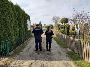 Policjanci idący drogą piaszczysta, podczas kontroli n terenie ogródków działkowych. Z prawej strony rosą zielone tuje, a z lewej strony drewniany płot oraz drzewa i krzewy.