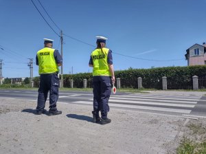 Policjanci w kamizelkach odblaskowych przed przejściem dla pieszych. Zdjęcie robione  z tyłu.